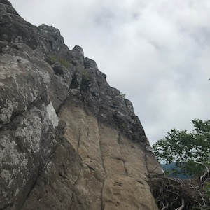 黄金山斜め岩